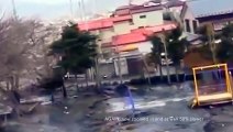 Throughout Japan Tsunami the strange creature was grabbed on photographic camera – true footage