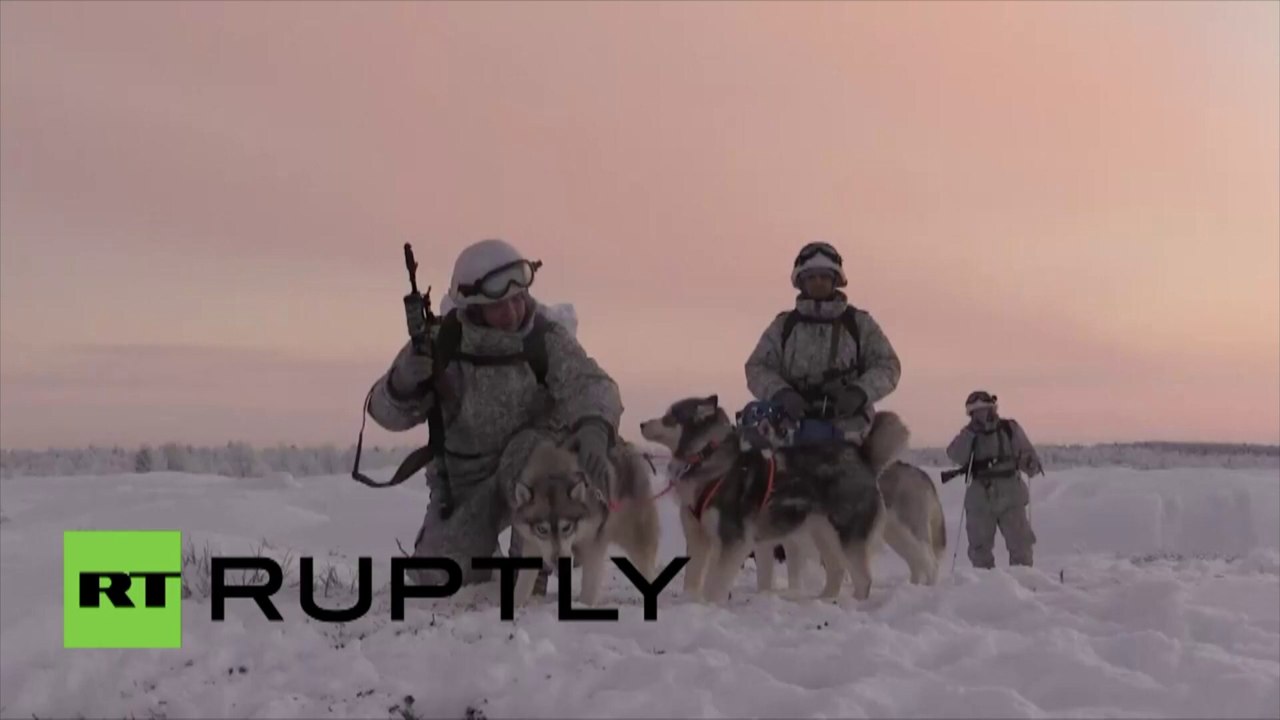 Quoi de plus impressionnant que les huskys ? Les huskys qui s’entraînent avec la flotte du Nord