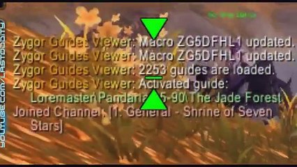 How to Level Fast In  Days Zygor Guides 4 0 Review