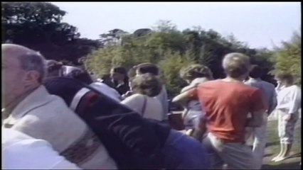 What This Gorilla Did When A Child Fell Into Its Enclosure, Will Touch You!