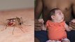 Zika virus Signs, Symptoms and Prevention || Health tips