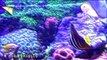 Tropical Fish Aquariums! Sea Urgent Sharks Suckers Angel Puffers and More by HobbyKidsTV