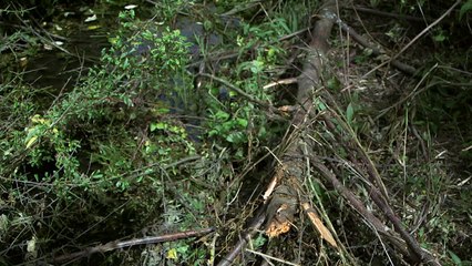 999 call from driver as crashed car fills with water