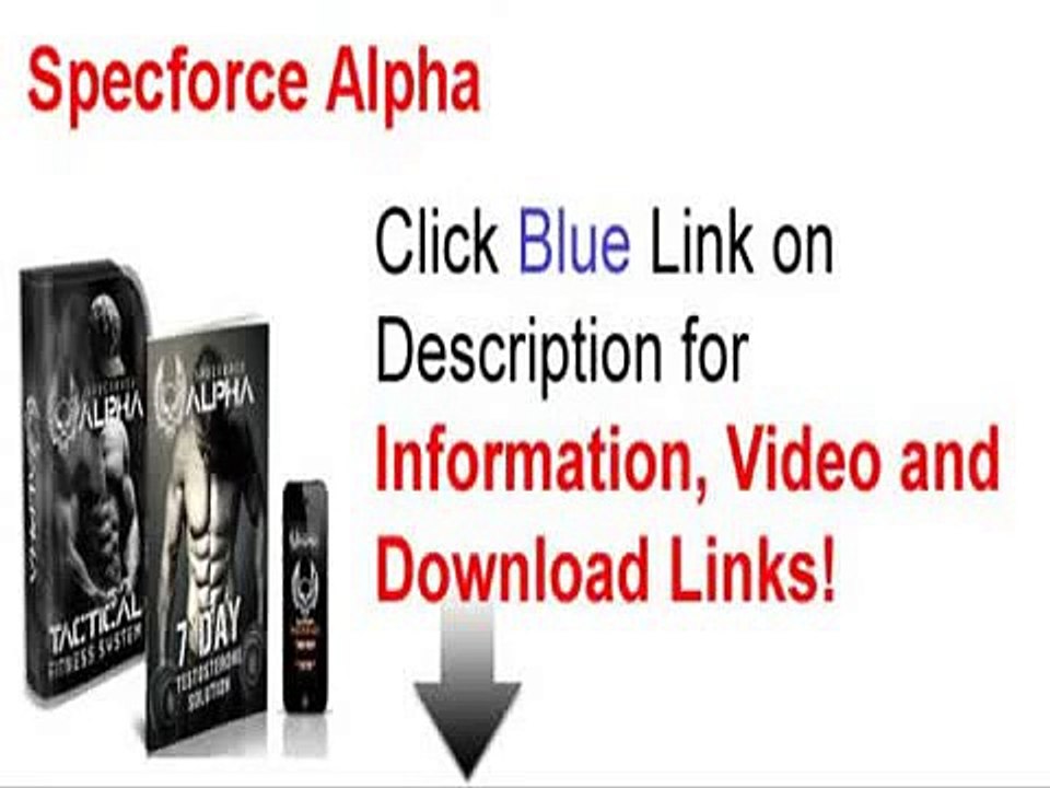 Specforce Alpha Program Review - Specforce Alpha