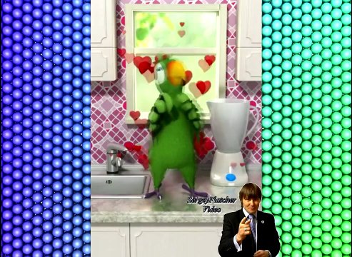 Говорящий Попугай Пьер забавно и романтично танцует смешной мультфильм для детей