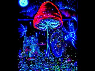 Metazone - I Mowed Mushrooms