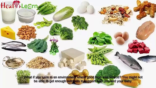 weight loss program review Ideal Body Blueprint