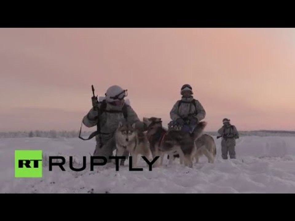 What is more awesome than husky dogs? Huskies training with Russia’s Northern fleet!