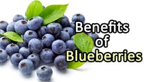 7 Health Benefits of Blueberries || Healthy Food Tips