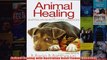 Download PDF  Animal Healing with Australian Bush Flower Essences FULL FREE
