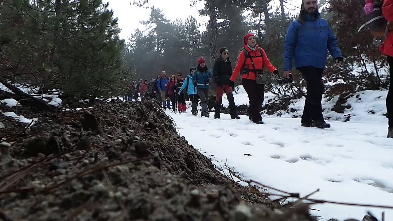 yukarıılıca-besikderesi (selale) 31-01-2016