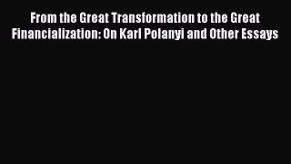[PDF Download] From the Great Transformation to the Great Financialization: On Karl Polanyi