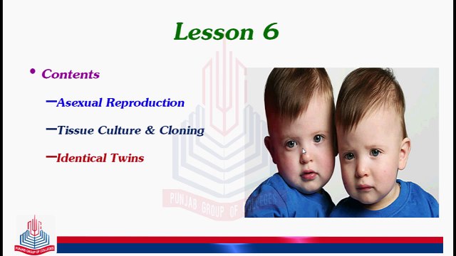 Asexual methods of Reproduction ( Parthenogenesis )