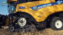 Maïsdorsen met diverse New Holland combines in België Trekkerweb