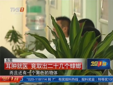 Cockroach Crawls Into Teen's Ear and Give Birth to 25 Babies