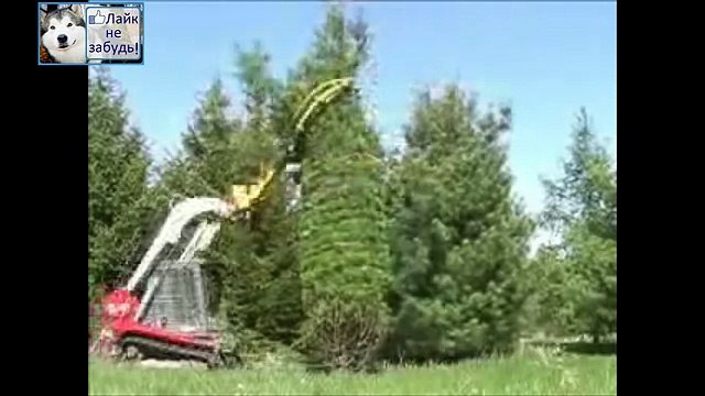 ПОСМОТРИТЕ ЧТО ДЕЛАЕТ ЭТОТ АГРЕГАТ С ДЕРЕВЬЯМИ