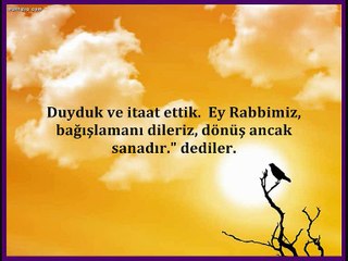 Bakara Suresi  ( 285 ve 286 Arası Ayetler )