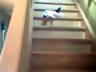 И так каждый день