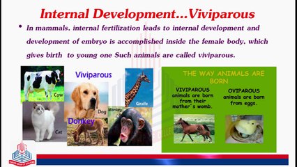 Viviparous & OvoViviparous