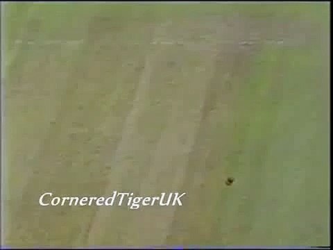 Magnificent Waqar Younis Stunning Six of Darren Gough 2001(1)