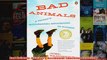 Download PDF  Bad Animals A Fathers Accidental Education In Autism FULL FREE
