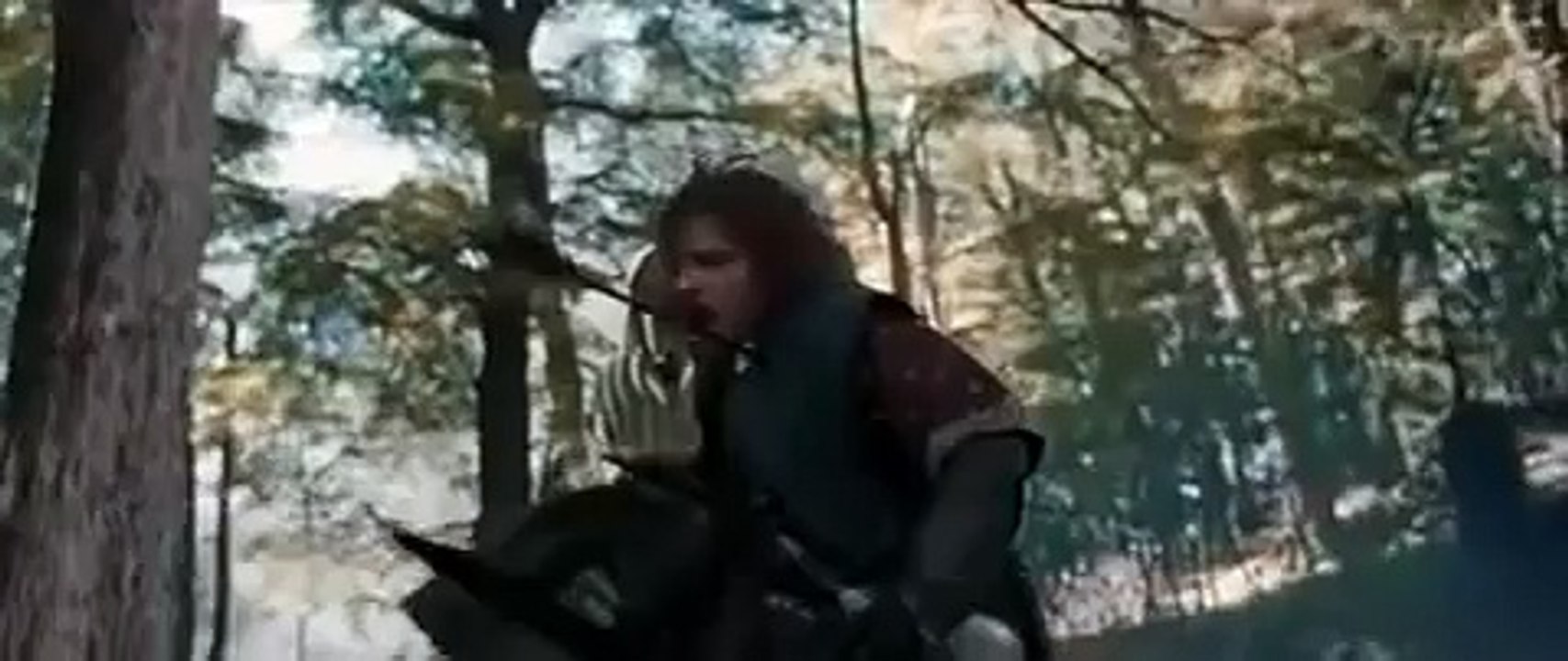 Seigneur des anneaux
