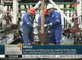 México: 4 transnacionales compiten por explotación de petróleo