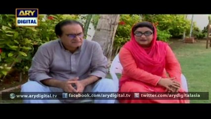 Watch Bulbulay Episode - 257 - 1st February 2016 on ARY Digital