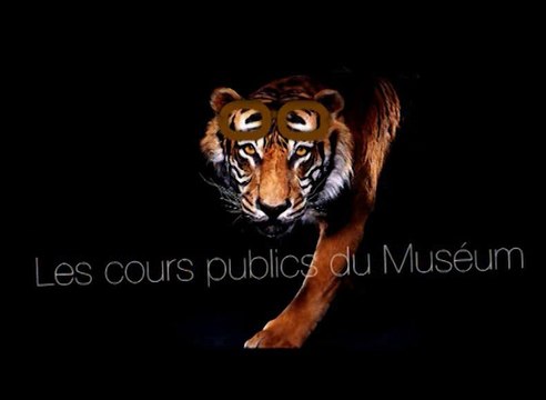 Décliner la botanique : pour en écrire son ou ses histoires (cycle Histoire de la botanique et des collections 1/3)