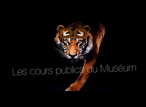Le monde, le jardin, le cabinet (cycle Histoire de la botanique et des collections 2/3)