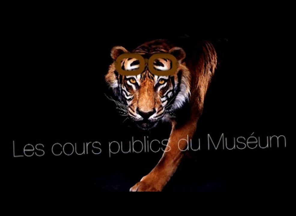 Le voyage des plantes dans le Jardin : pour une histoire des collections (cycle Histoire de la botanique 3/3)