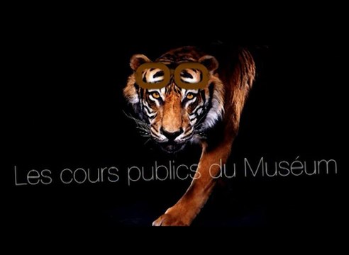 Le voyage des plantes dans le Jardin : pour une histoire des collections (cycle Histoire de la botanique 3/3)