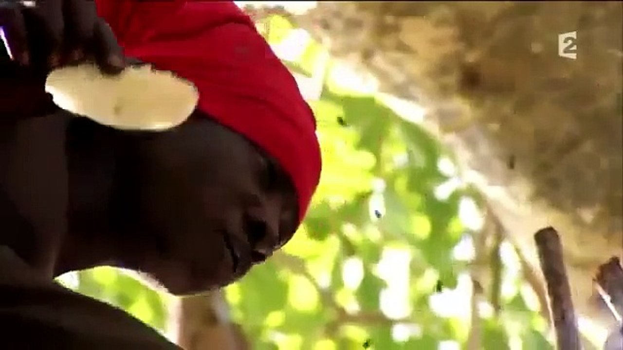 Tanzanie, où les lions et les humains se battent pour la survie