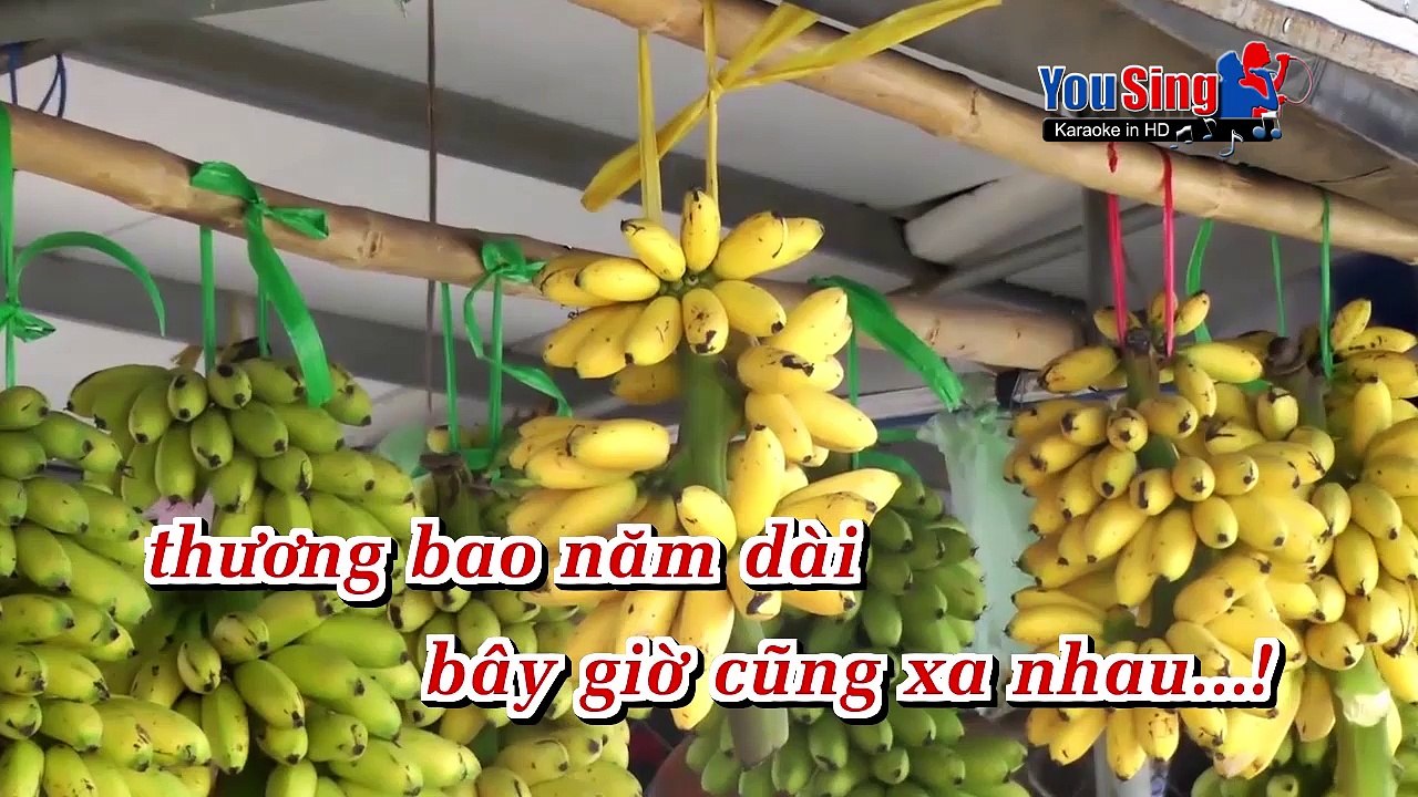 Karaoke-Cuối Đoạn Đường Tình_Lý Diệu Linh