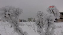 Erzurum Doğu'yu Soğuklardan Kar Yağış Kurtaracak