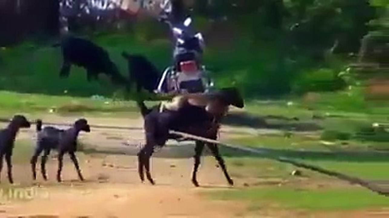 eski Sawari to check kerain zaberdast video hy