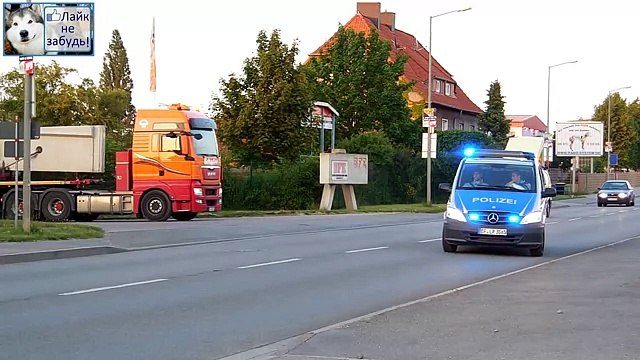 Мега длинная перевозка - Водитель профессионал