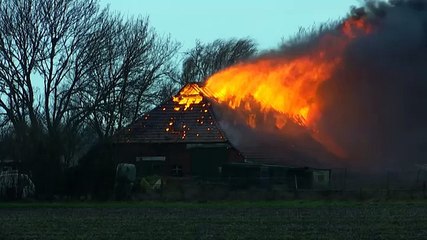 Vlammenzee bij boerderijbrand Veendam - RTV Noord