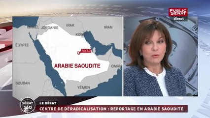 Nathalie Goulet à propos des conditions des femmes en Arabie Saoudite