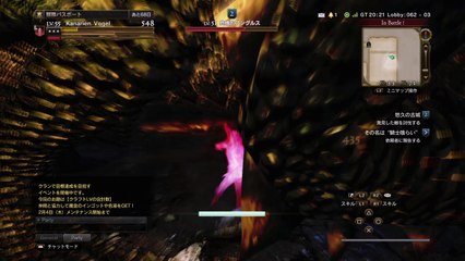 【ドラゴンズドグマ オンライン】悠久の古城アングルス　ウォリアーソロ