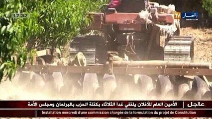 فلاحة: الجزائر تمتلك 80 % من الأراضي الزراعية ذات الجودة العالية في العالم