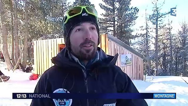 Découverte : des sorties en traineau à chiens en Ariège