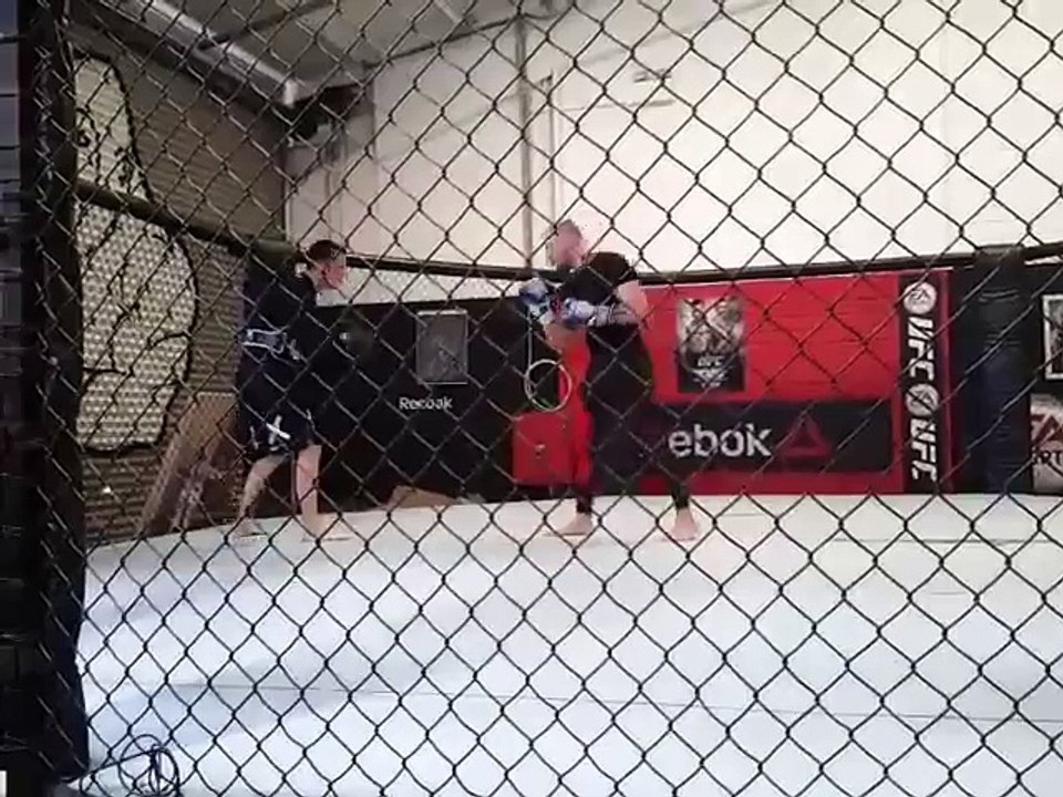 Conor McGregor Ghost Work