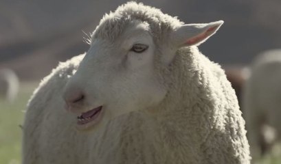 Honda Ridgeline "A New Truck to Love" Super Bowl 2016 Commercial