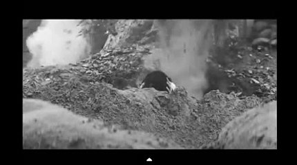 바카라룰♨KOP77,COM㈜우리카지노↔호게이밍