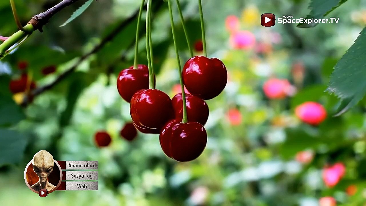 Uzaylıların hayran kaldığı dünyamız (Harika görüntüler)