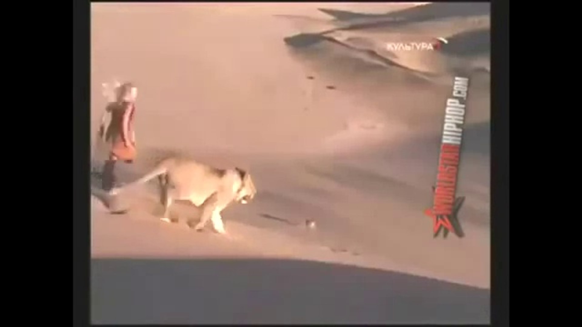 ⁣Опасные животные. Дикие животные. Девочка выращена в дикой природе