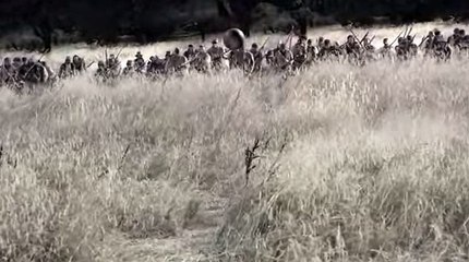 바카라잘하는법바카라일번지よ◇..TNT900、COM..㉿づ바카라잘하는법ぺ호게임