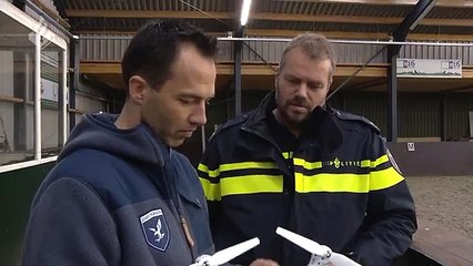 Des aigles pour capturer des drones