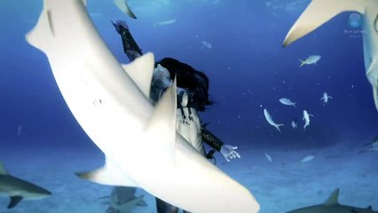 Woman dances with tiger sharks